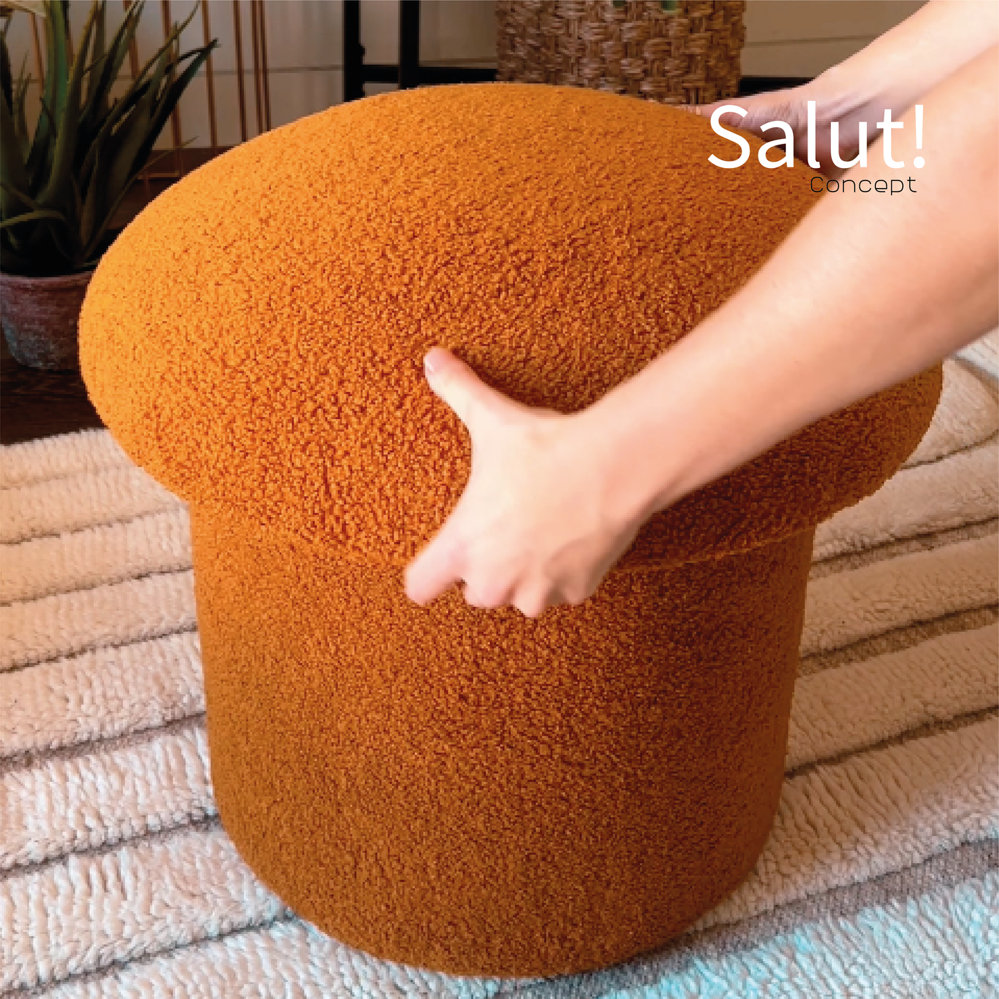 champibox pouf